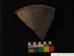 L_V23d6009 J1q161 U815 dM cv f78